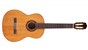 Cordoba C5-Ltd CED Classical Guitar